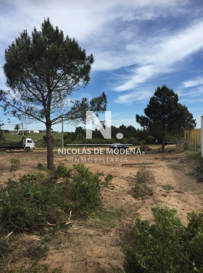 Tio Tom - GoPunta - Portal Inmobiliario de Punta del Este - Maldonado