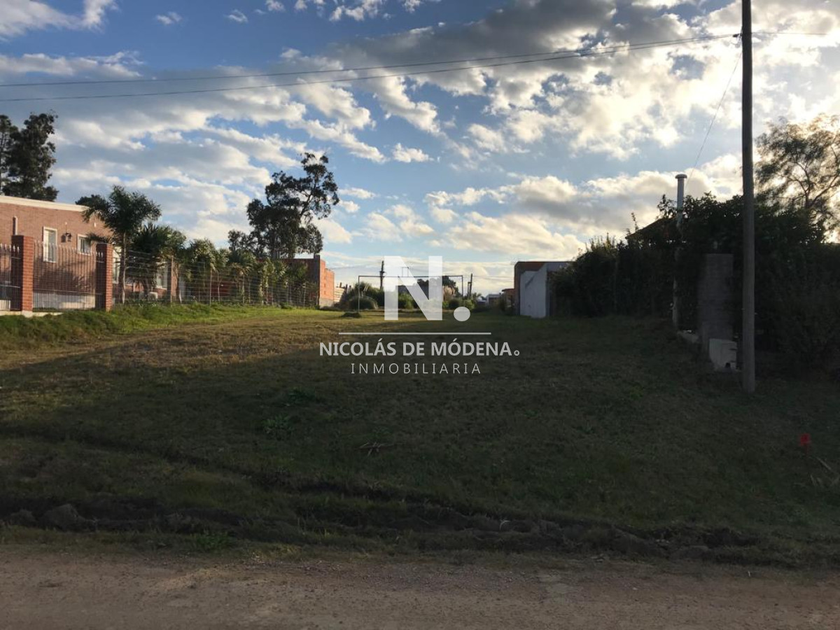 Terreno