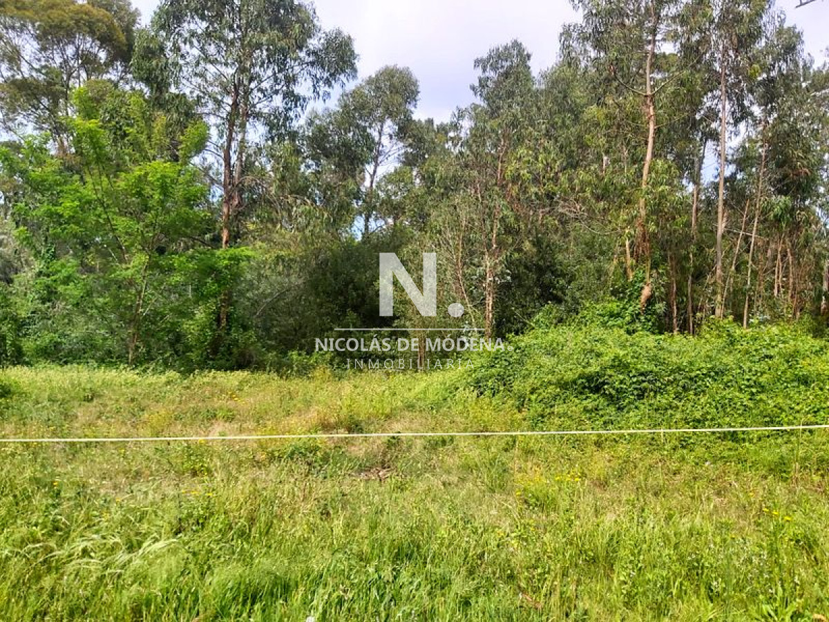 Golf - GoPunta - Portal Inmobiliario de Punta del Este - Maldonado