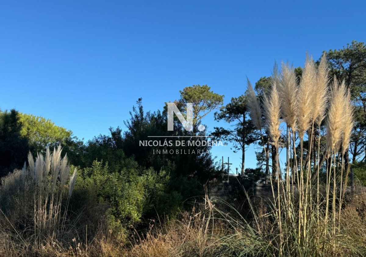 Barra Verde - GoPunta - Portal Inmobiliario de Punta del Este - Maldonado