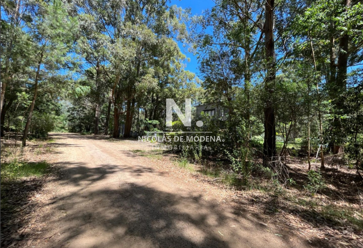 Punta Ballena - GoPunta - Portal Inmobiliario de Punta del Este - Maldonado