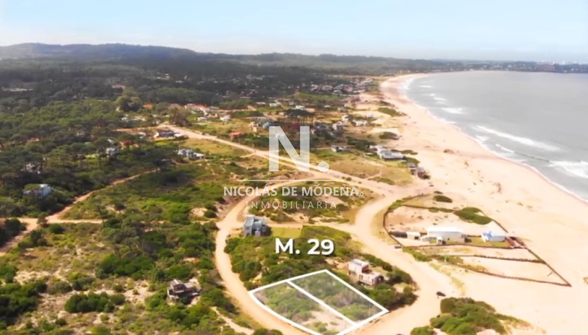 Chihuahua - GoPunta - Portal Inmobiliario de Punta del Este - Maldonado