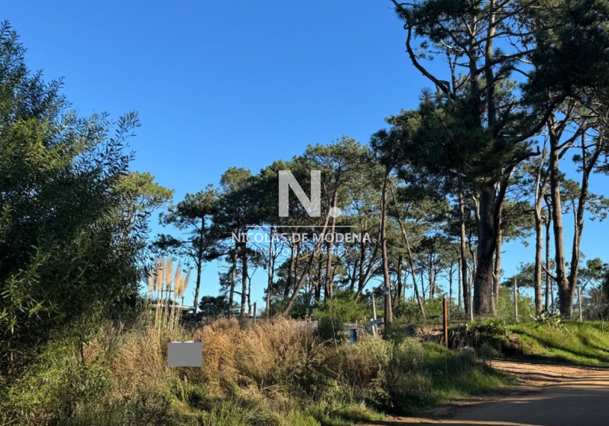 Barra Verde - GoPunta - Portal Inmobiliario de Punta del Este - Maldonado