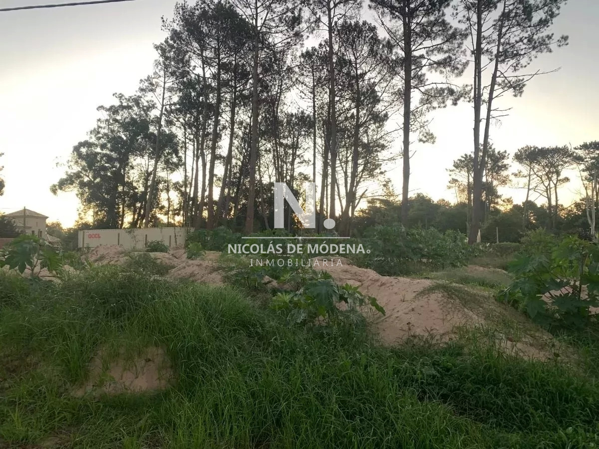 Golf - GoPunta - Portal Inmobiliario de Punta del Este - Maldonado