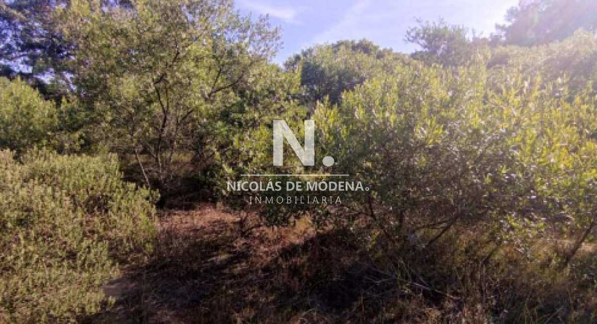 Club del Lago - GoPunta - Portal Inmobiliario de Punta del Este - Maldonado