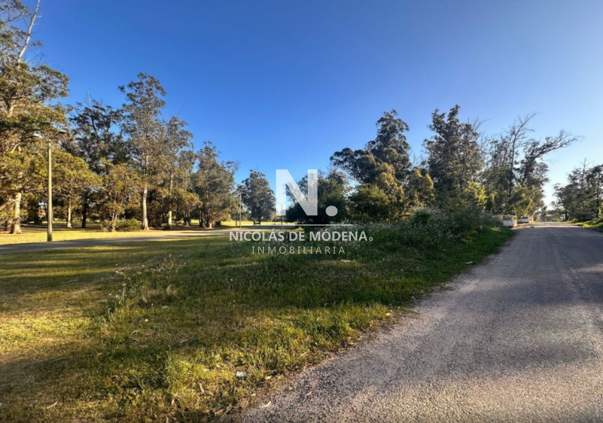 Marly - GoPunta - Portal Inmobiliario de Punta del Este - Maldonado