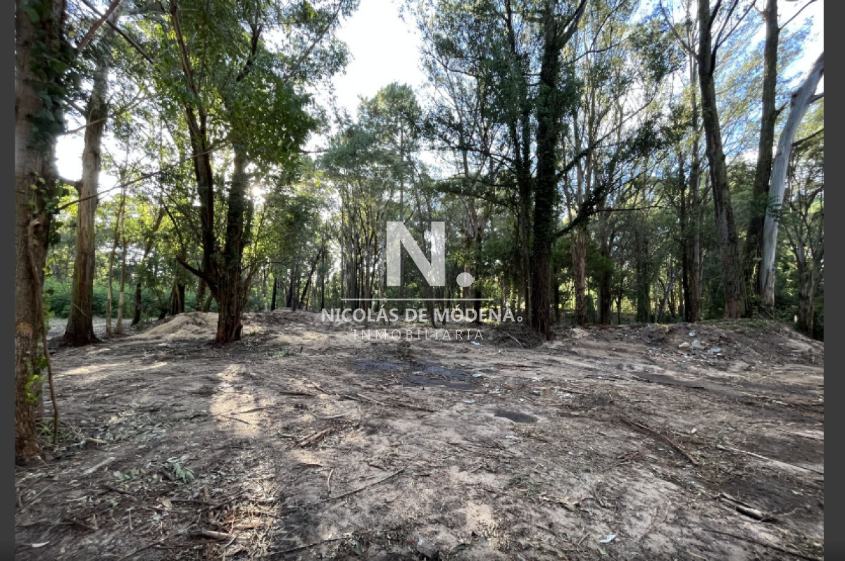 Punta Ballena - GoPunta - Portal Inmobiliario de Punta del Este - Maldonado