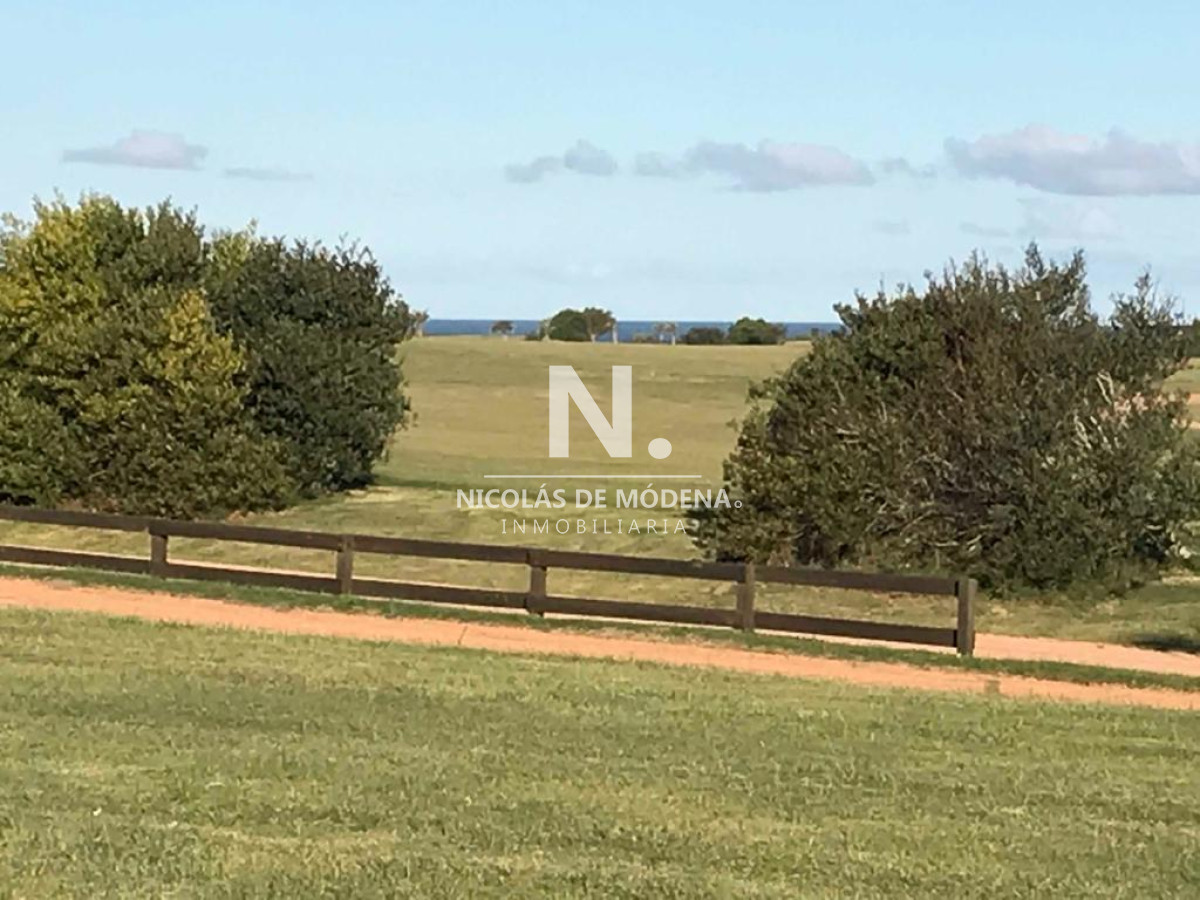 Las Garzas - GoPunta - Portal Inmobiliario de Punta del Este - Maldonado