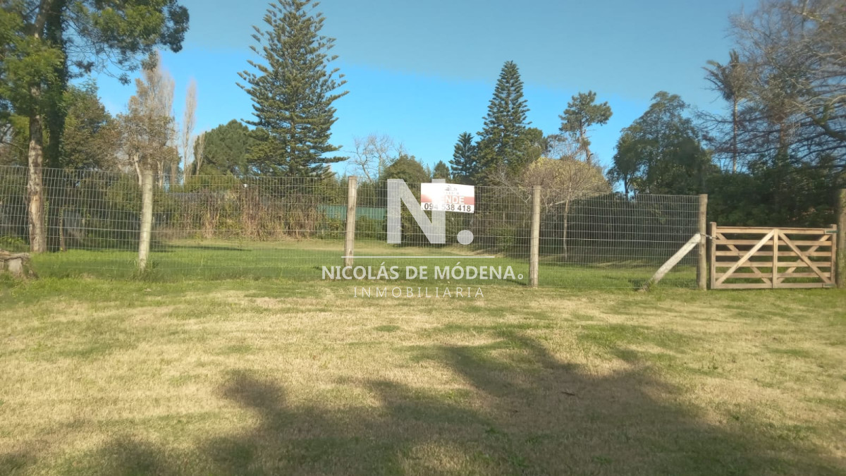 Golf - GoPunta - Portal Inmobiliario de Punta del Este - Maldonado