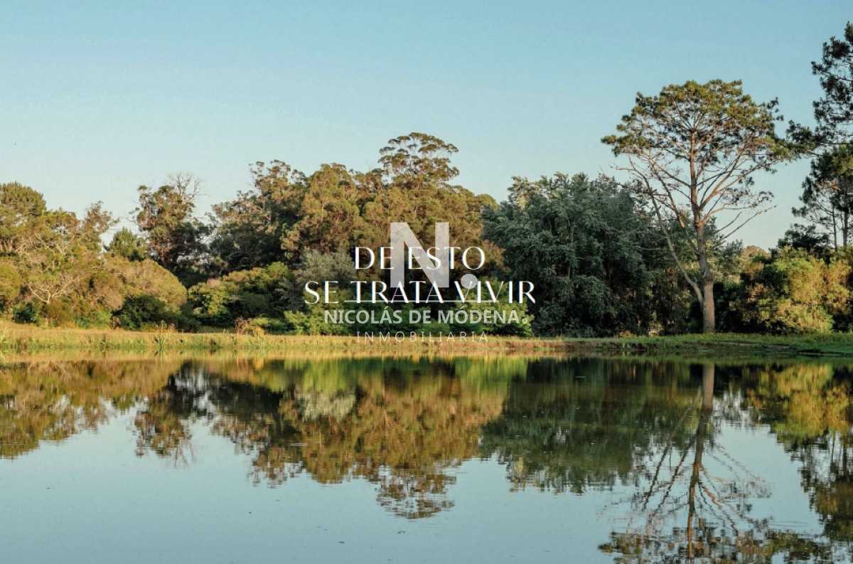 Golf - GoPunta - Portal Inmobiliario de Punta del Este - Maldonado