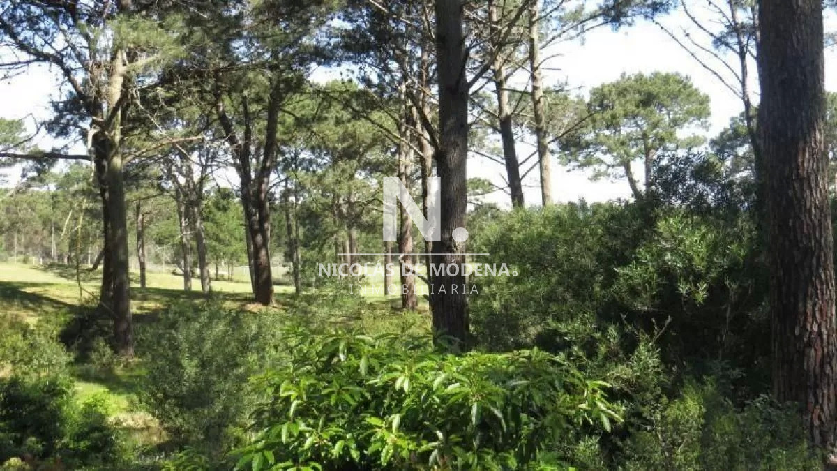 Club del Lago - GoPunta - Portal Inmobiliario de Punta del Este - Maldonado