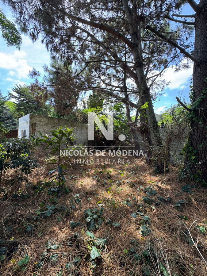 Lugano - GoPunta - Portal Inmobiliario de Punta del Este - Maldonado