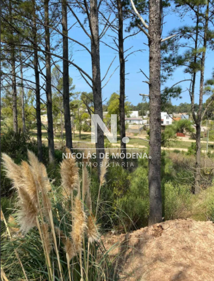 Altos de la Laguna - GoPunta - Portal Inmobiliario de Punta del Este - Maldonado