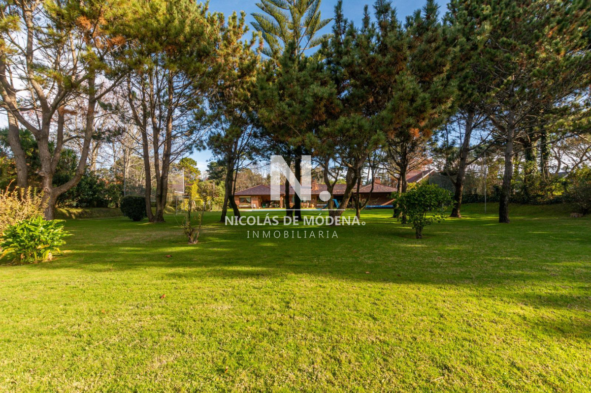 Punta del Este - GoPunta - Portal Inmobiliario de Punta del Este - Maldonado