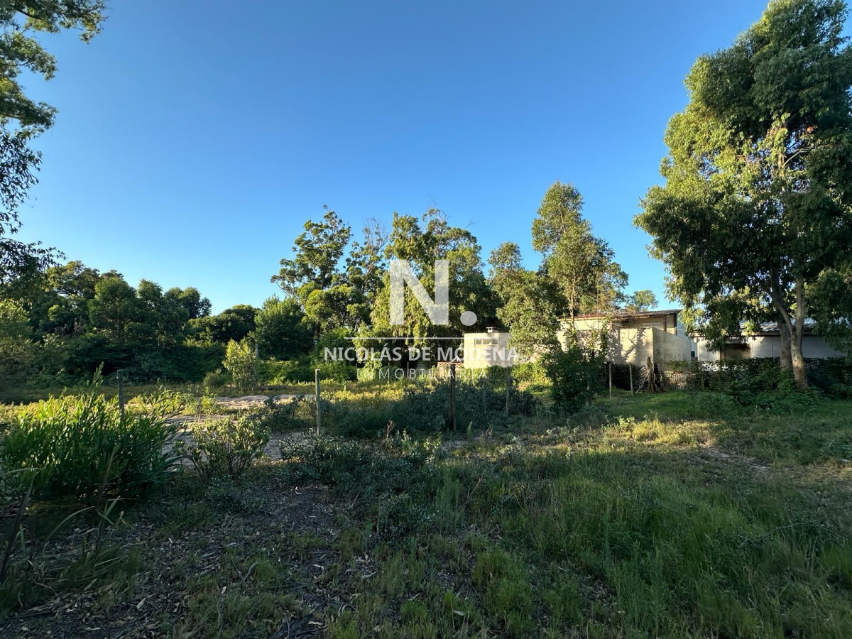 Balneario Buenos Aires - GoPunta - Portal Inmobiliario de Punta del Este - Maldonado