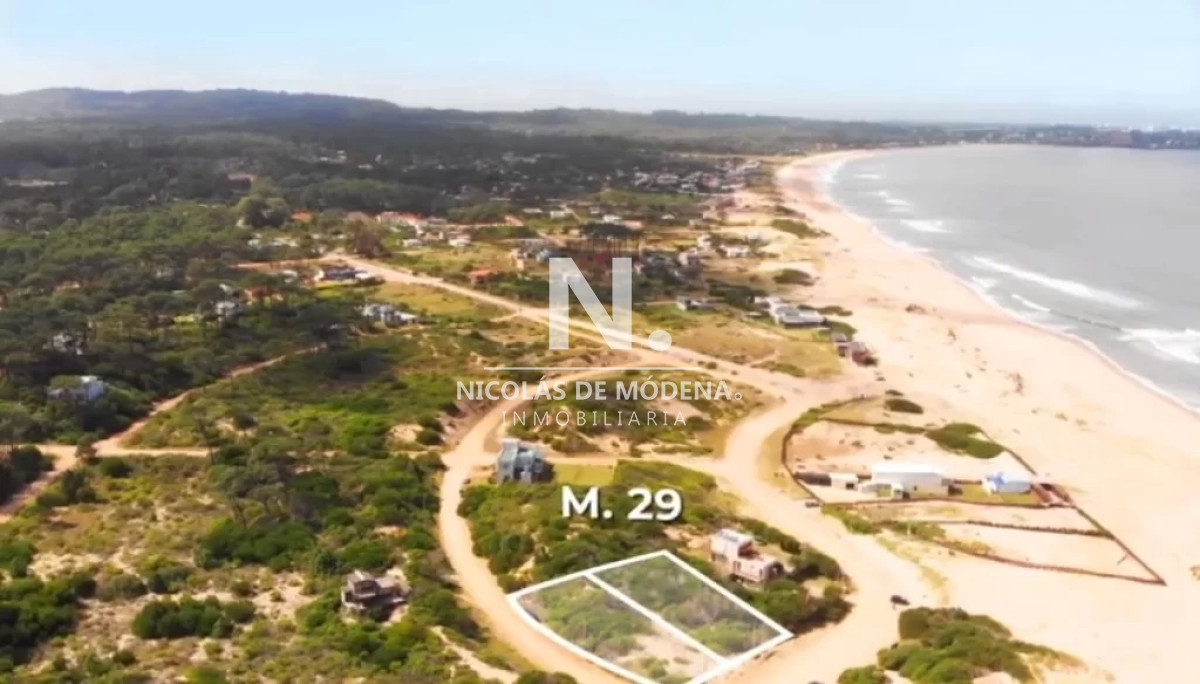 Chihuahua - GoPunta - Portal Inmobiliario de Punta del Este - Maldonado