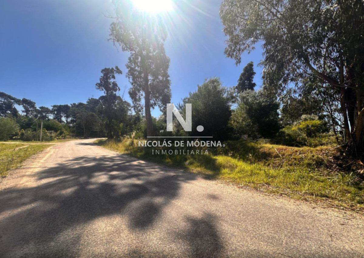 Marly - GoPunta - Portal Inmobiliario de Punta del Este - Maldonado