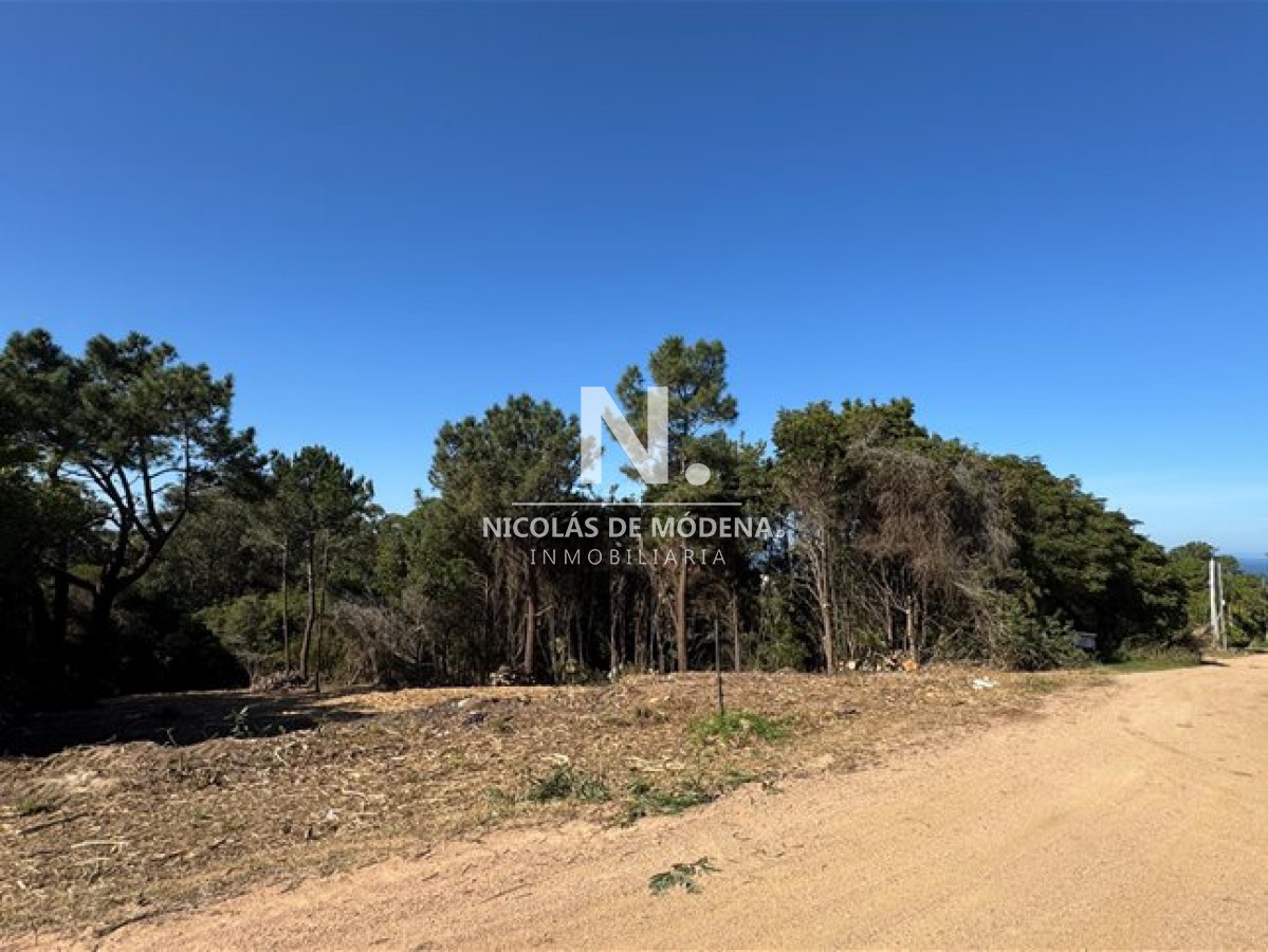 Lomo de la Ballena - GoPunta - Portal Inmobiliario de Punta del Este - Maldonado