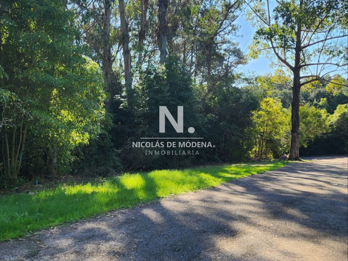 Vende terreno amplio de 4226 m2, en Las Cumbres- Punta Ballena. - NDM23403T