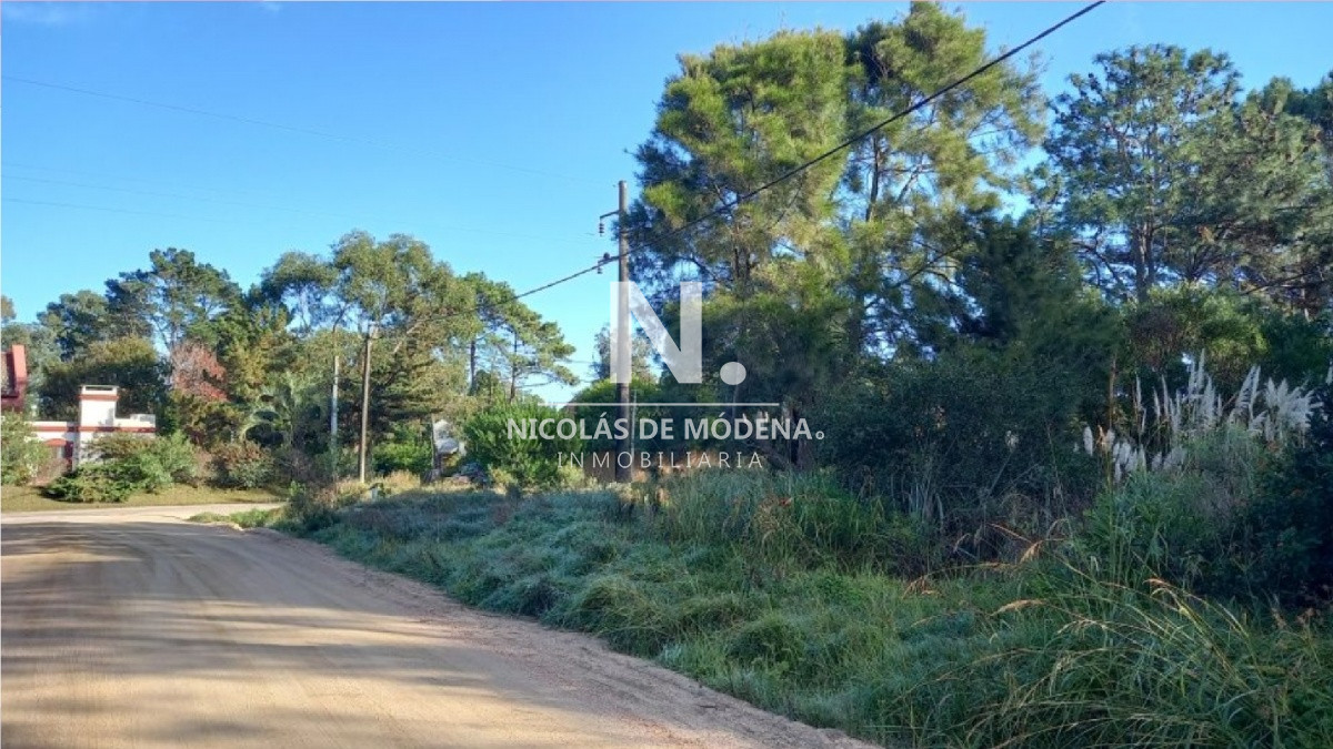 Terreno