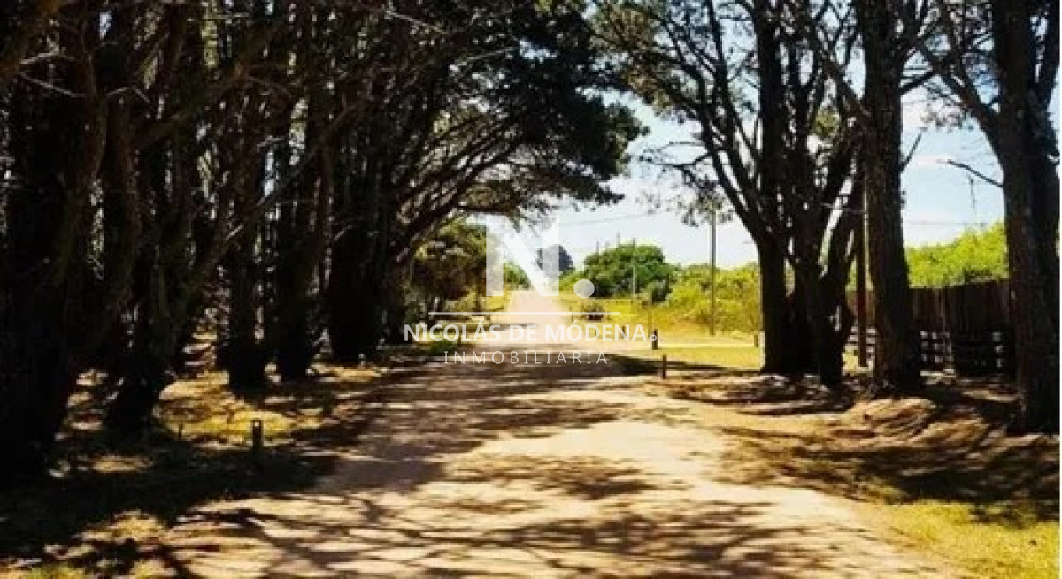 San Vicente - GoPunta - Portal Inmobiliario de Punta del Este - Maldonado