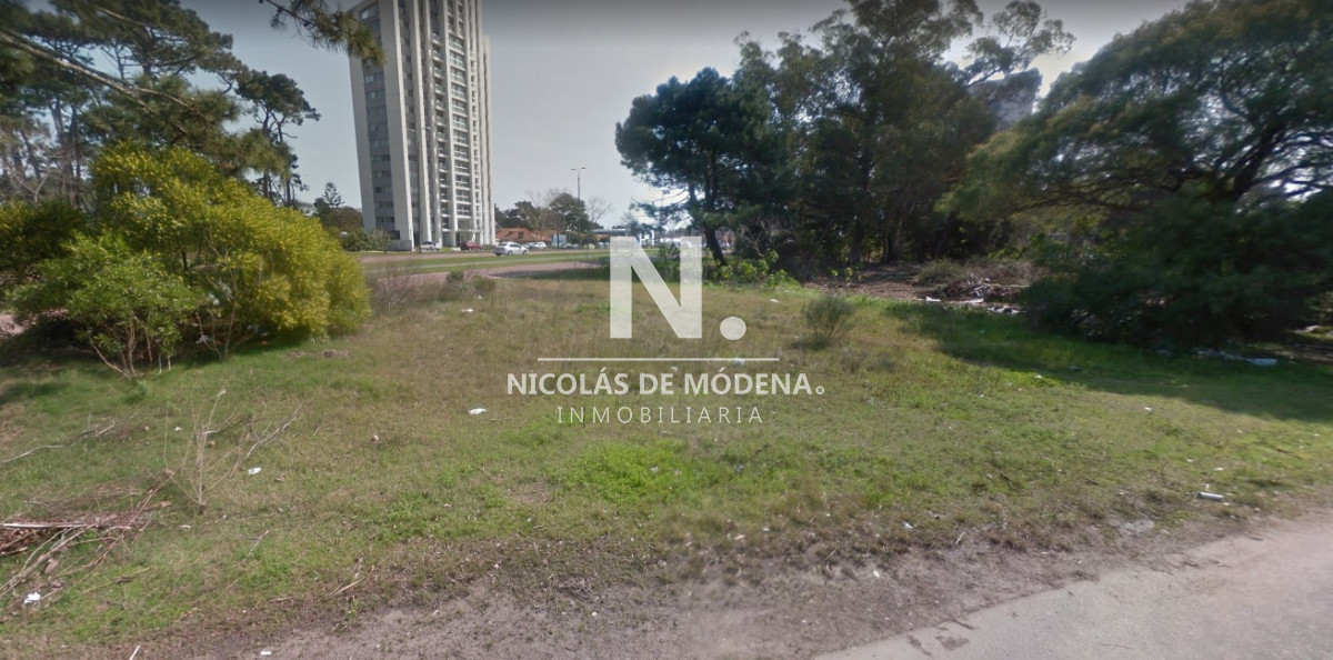 Roosevelt - GoPunta - Portal Inmobiliario de Punta del Este - Maldonado