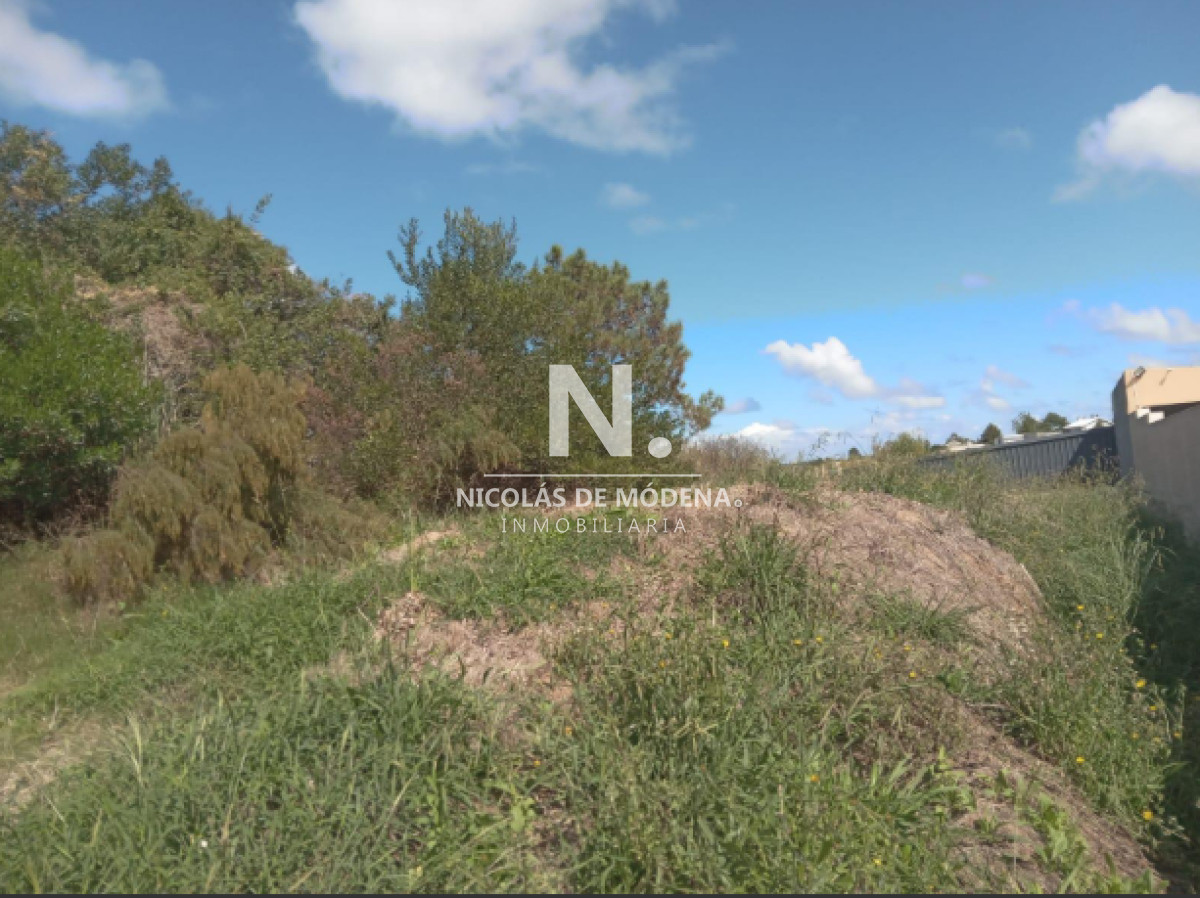 Lausana - GoPunta - Portal Inmobiliario de Punta del Este - Maldonado
