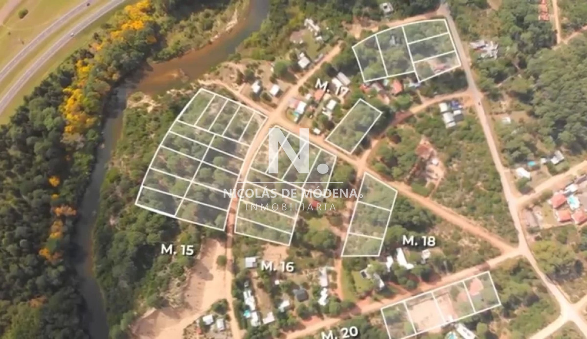 Chihuahua - GoPunta - Portal Inmobiliario de Punta del Este - Maldonado