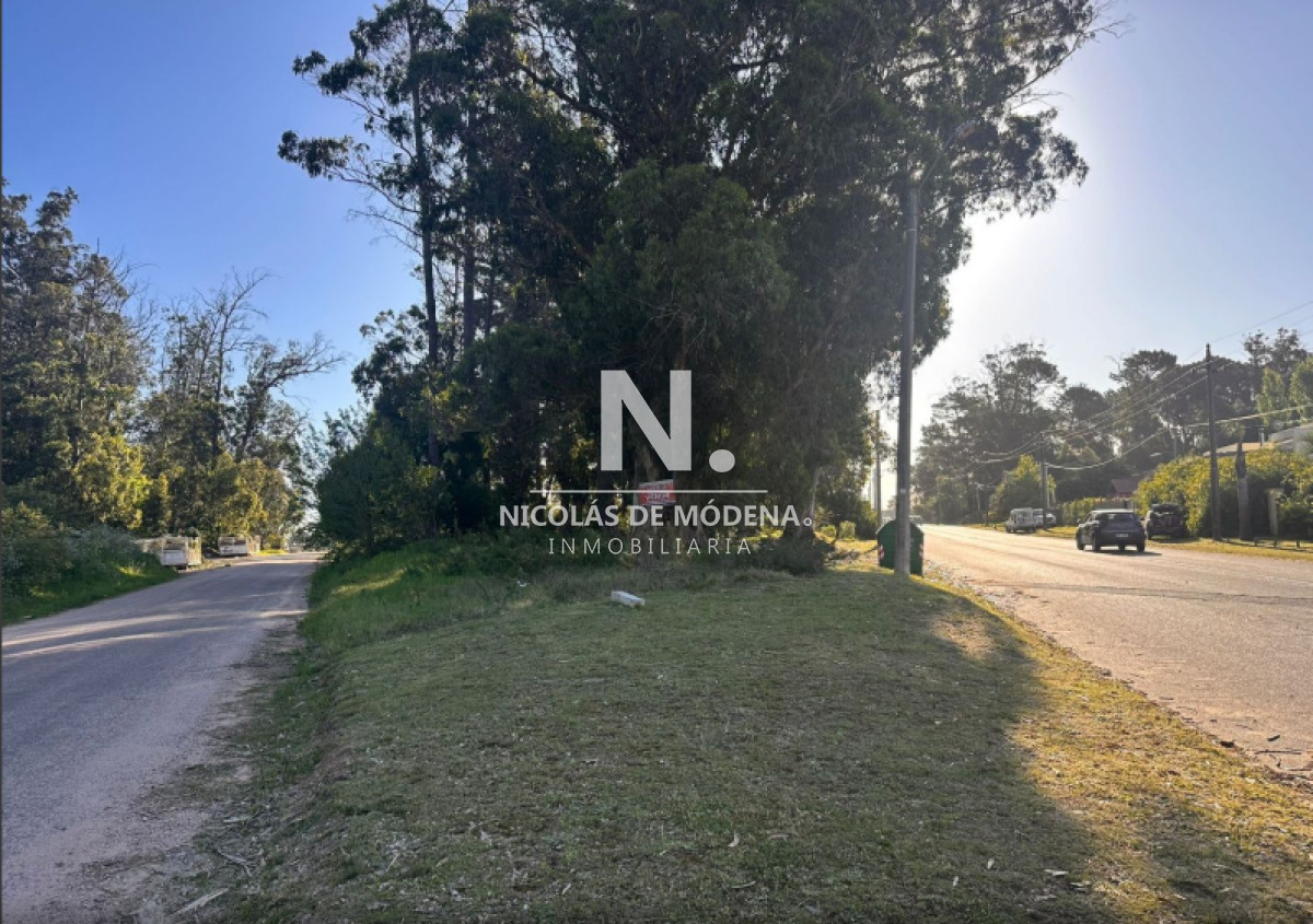 Marly - GoPunta - Portal Inmobiliario de Punta del Este - Maldonado