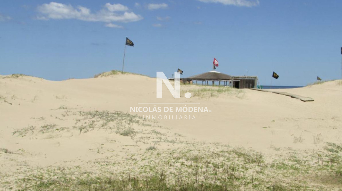 Pinar del Faro - GoPunta - Portal Inmobiliario de Punta del Este - Maldonado