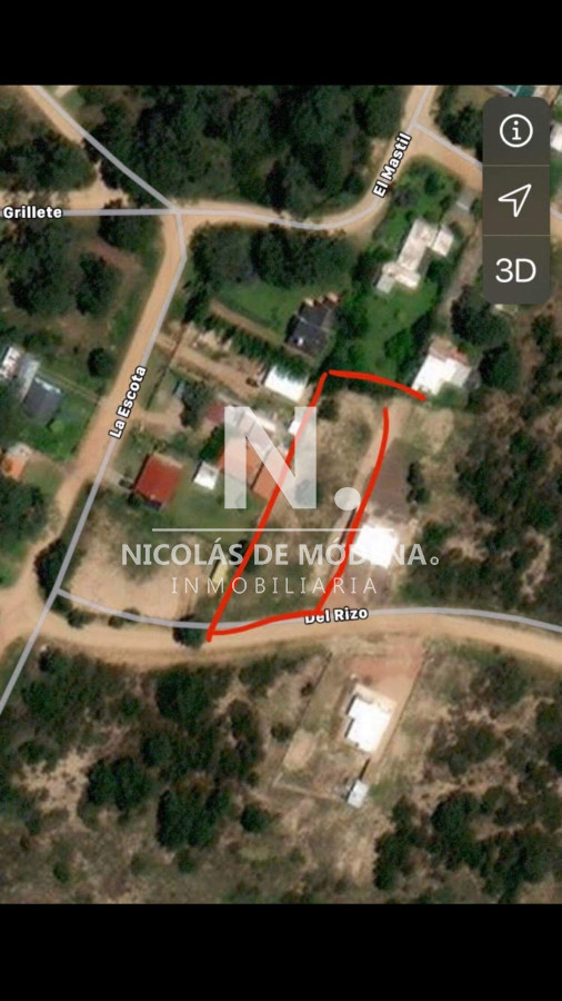 Tio Tom - GoPunta - Portal Inmobiliario de Punta del Este - Maldonado