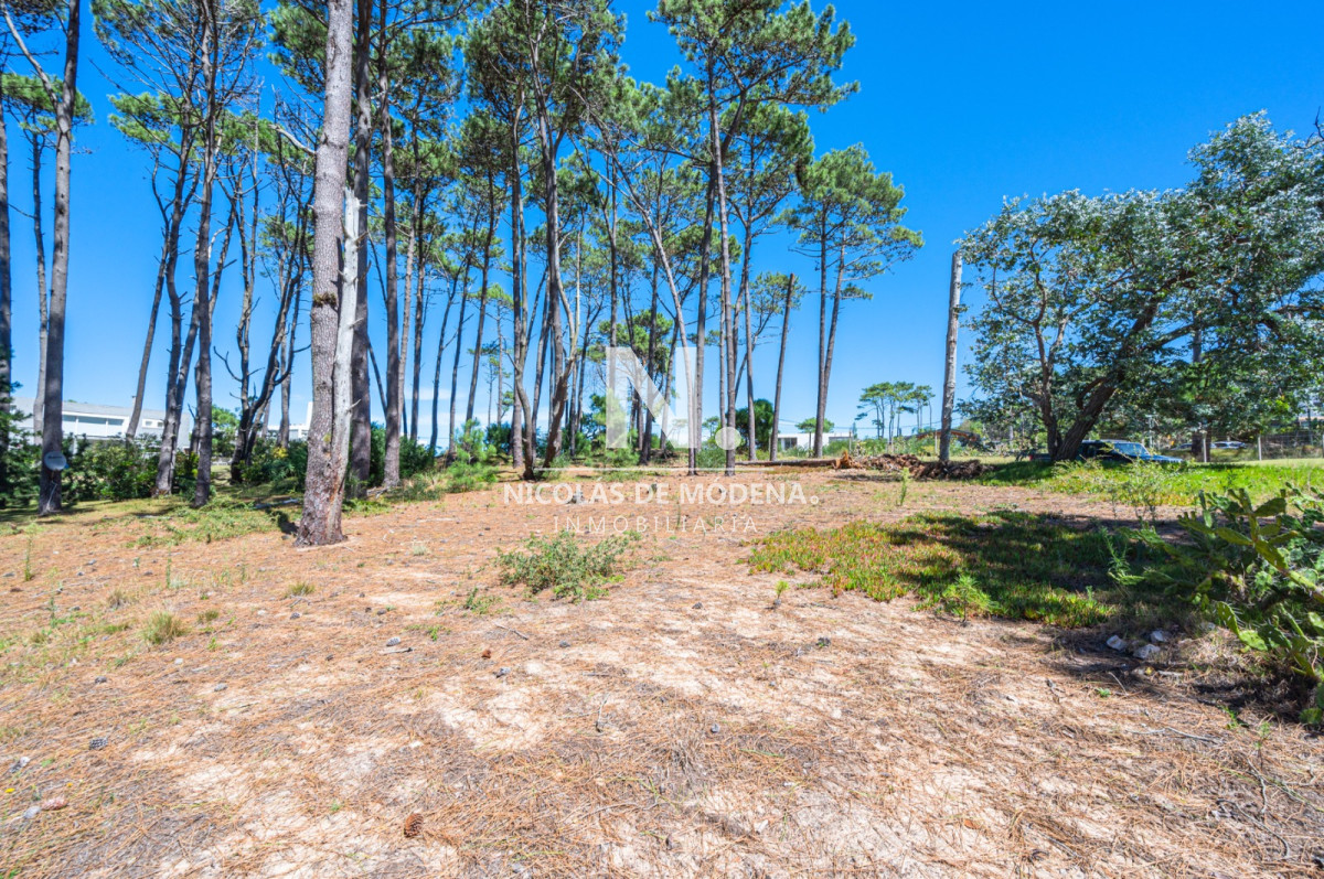 Propiedad - GoPunta - Portal Inmobiliario de Punta del Este - Maldonado