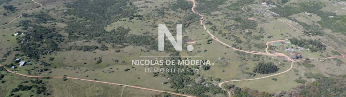 Las Cañas - GoPunta - Portal Inmobiliario de Punta del Este - Maldonado