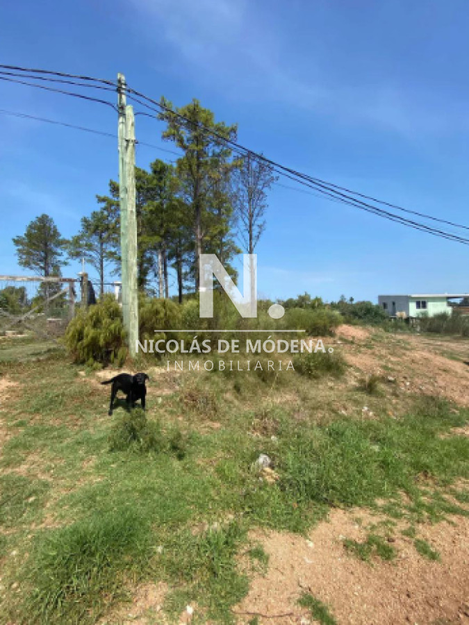 Altos de la Laguna - GoPunta - Portal Inmobiliario de Punta del Este - Maldonado