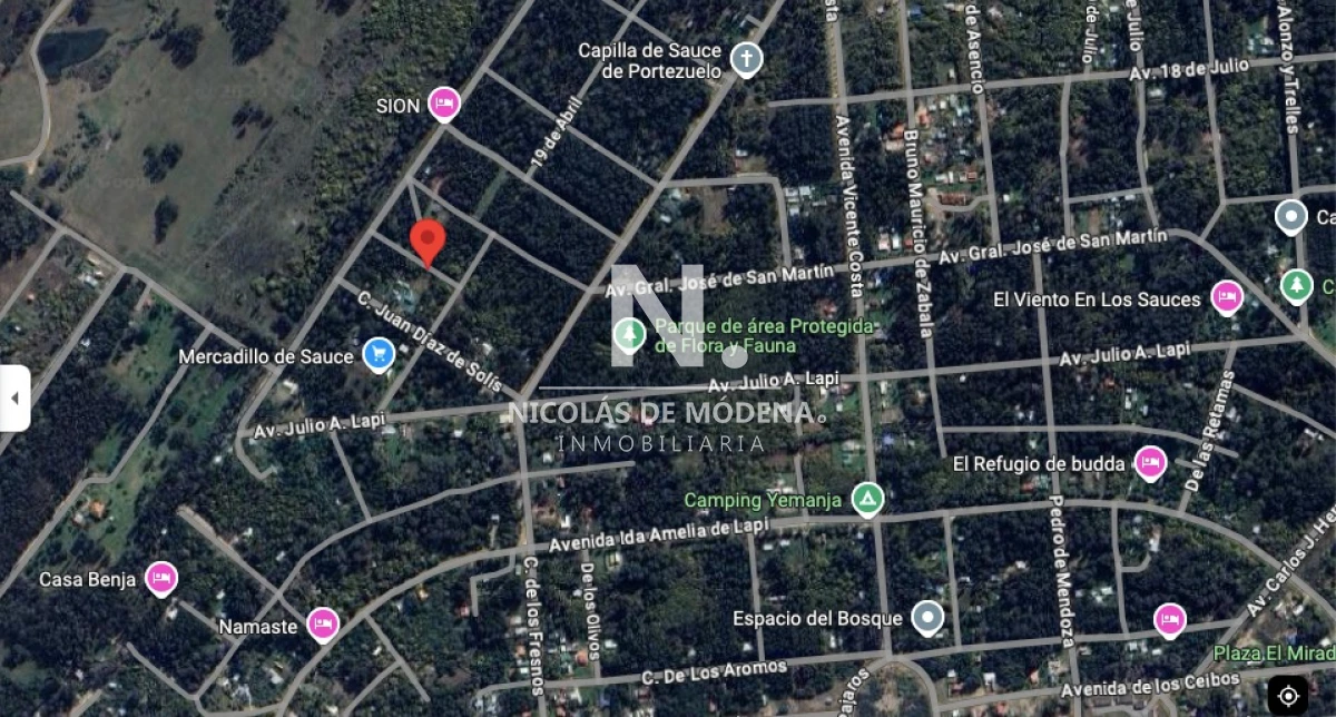 Sauce de Portezuelo - GoPunta - Portal Inmobiliario de Punta del Este - Maldonado