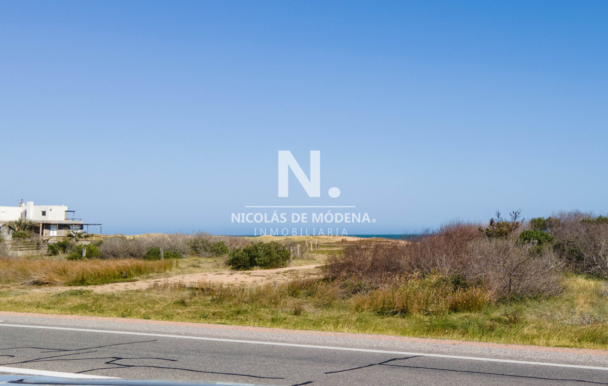 Santa Monica - GoPunta - Portal Inmobiliario de Punta del Este - Maldonado