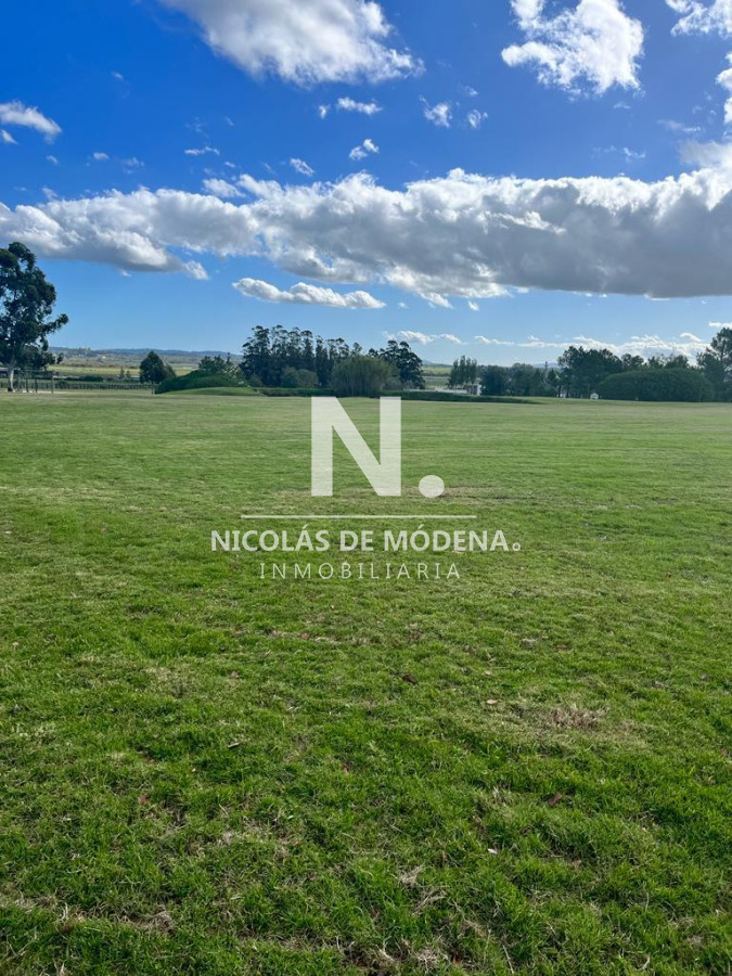 El Quijote - GoPunta - Portal Inmobiliario de Punta del Este - Maldonado