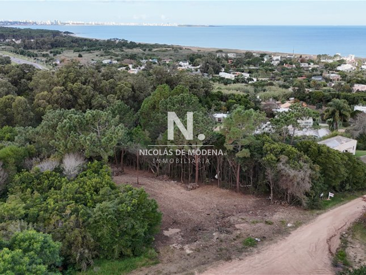 Lomo de la Ballena - GoPunta - Portal Inmobiliario de Punta del Este - Maldonado
