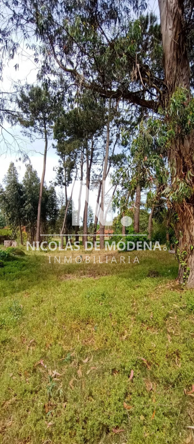 Marly - GoPunta - Portal Inmobiliario de Punta del Este - Maldonado