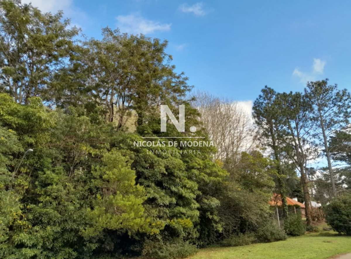 San Rafael - GoPunta - Portal Inmobiliario de Punta del Este - Maldonado