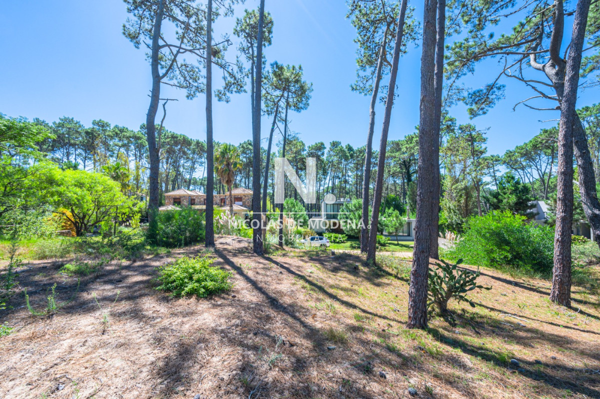 Laguna Blanca - GoPunta - Portal Inmobiliario de Punta del Este - Maldonado