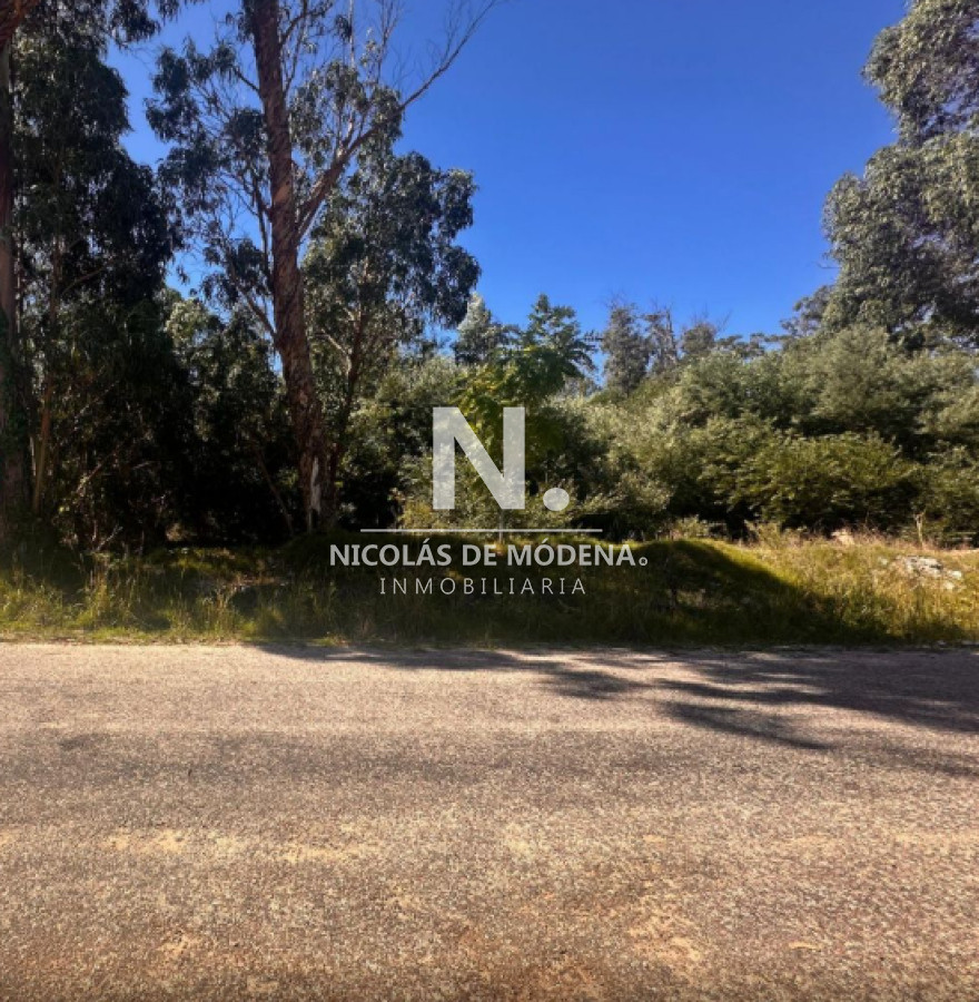 Marly - GoPunta - Portal Inmobiliario de Punta del Este - Maldonado