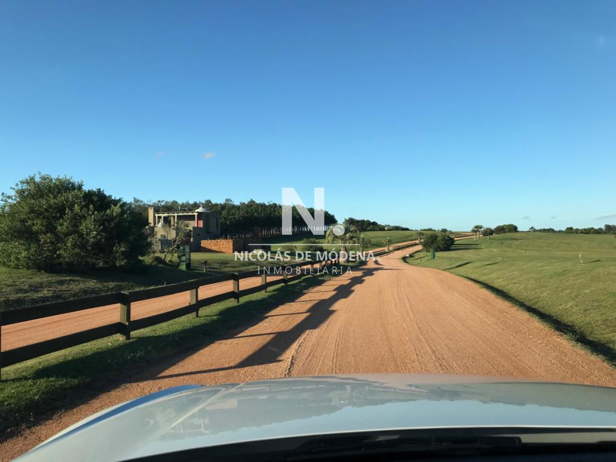 Las Garzas - GoPunta - Portal Inmobiliario de Punta del Este - Maldonado