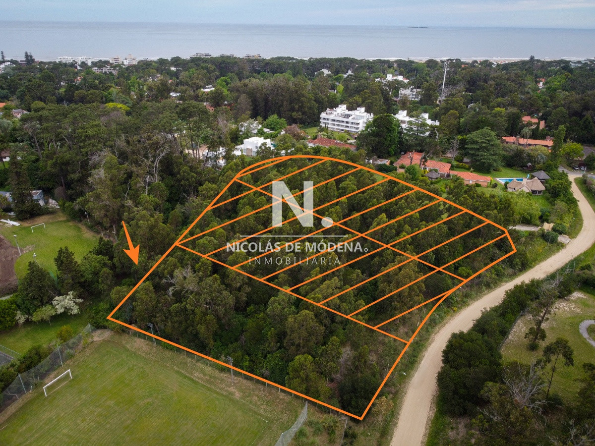 Golf - GoPunta - Portal Inmobiliario de Punta del Este - Maldonado