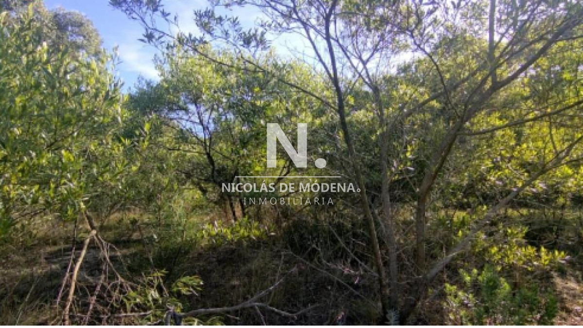 Club del Lago - GoPunta - Portal Inmobiliario de Punta del Este - Maldonado