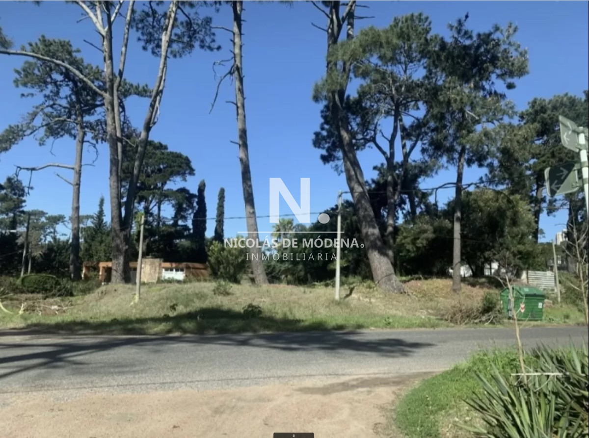Cantegril - GoPunta - Portal Inmobiliario de Punta del Este - Maldonado