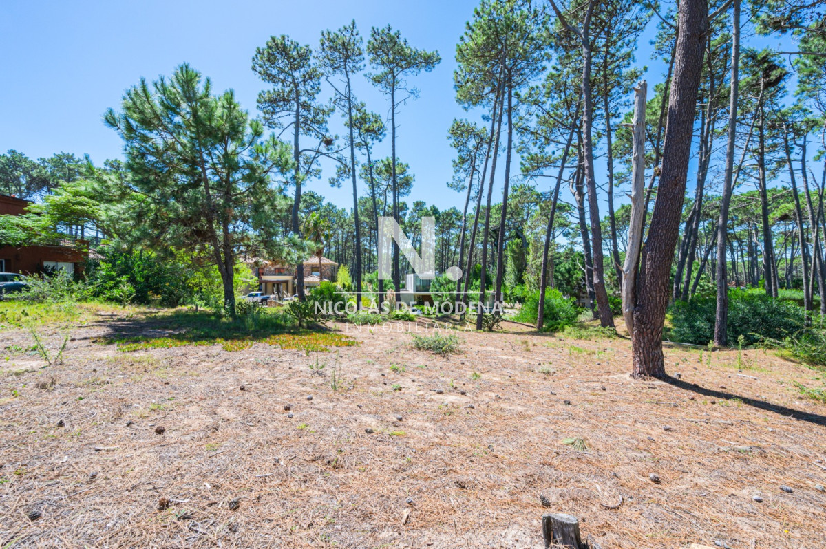 Propiedad - GoPunta - Portal Inmobiliario de Punta del Este - Maldonado