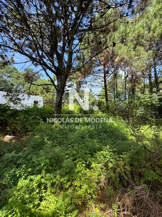 Lugano - GoPunta - Portal Inmobiliario de Punta del Este - Maldonado