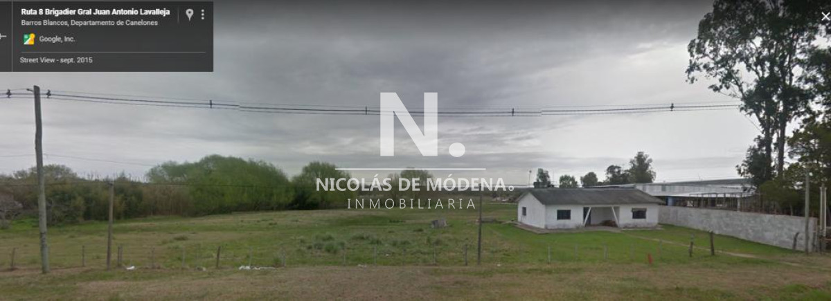 Terreno