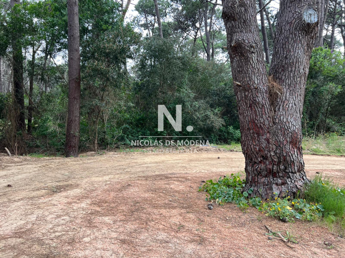 Montoya - GoPunta - Portal Inmobiliario de Punta del Este - Maldonado
